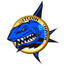 بیت کوین bitcoin1 بیت کوین