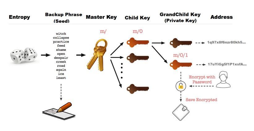 (Backup phrase/Seed) عبارت بازیابی رمز عبور کیف پول