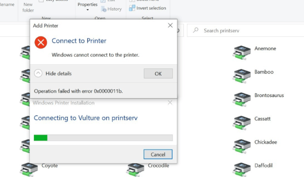 خطای پرینتر printer 0x00000b11b ererror